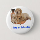Buscar labrador retriever chapas Animales