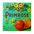 Buscar frutas azulejos Para ella