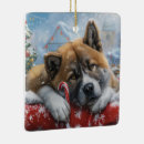 Buscar festivales adornos Navidades