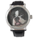 Buscar boston terrier relojes Animales