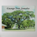 Buscar reggae posters Tropical