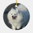 Buscar esquimal adornos Perro de pomerania