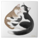 Buscar dueño azulejos Gatito