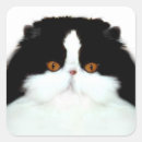 Buscar smoking pegatinas Felino