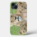 Buscar fauna fundas Comportamiento