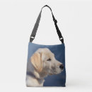 Buscar el arma bolsos Perro