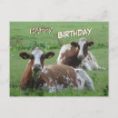 Buscar marr tarjetas General y unisex