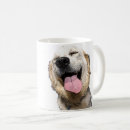Buscar laboratorio amarillo tazas Perro