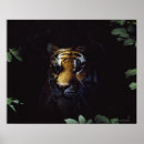 Buscar tigre siberiano posters Naturaleza