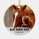 Buscar caballos adornos Mejor caballo nunca