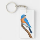 Buscar bluebird llaveros Para todos