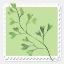 Buscar maidenhair Maidenhair heln