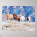 Buscar manada de caballos posters Granja