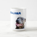 Buscar staffordshire bull terrier tazas Perro