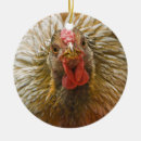 Buscar pollo adornos Gallinas
