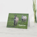 Buscar donkey tarjetas Adorable