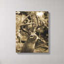 Buscar deer lienzos Caza