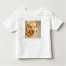 Buscar golden retriever camisetas Lindo