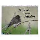 Buscar animales de la naturaleza calendarios Paisaje