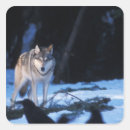 Buscar canis pegatinas Norteamérica