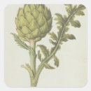 Buscar moyne postales Veg
