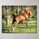 Buscar caballo divertido posters Cualquier niño