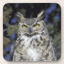 Buscar wildlife posavasos Naturaleza