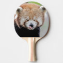 Buscar fotografía equipamiento de ping pong Moderno