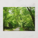 Buscar grillo postales Bosque