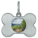 Buscar vista mascotas Paisaje