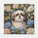 Buscar tzu imanes Adorable