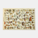 Buscar setas felpudos Cottagecore