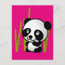 Buscar panda postales Oso