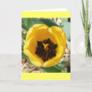 Buscar abeja ocupada tarjetas Naturaleza