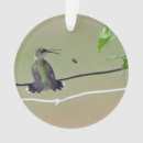 Buscar colibri adornos Colibrí