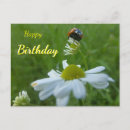 Buscar happy birthday daisy flower postales General y unisex