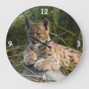 Buscar lince arte Felino