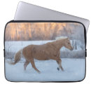 Buscar escondite fundas Caballo