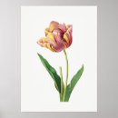 Buscar flame posters Rojo
