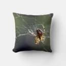 Buscar diseño web cojines Araña