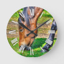 Buscar caballo relojes de pared 6 º caballito