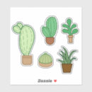 Buscar cactus manualidades Suculentos