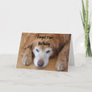 Buscar perro triste tarjetas Tardío