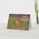 Buscar conejo de rabo blanco tarjetas Fauna