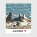 Buscar san marino pegatinas California