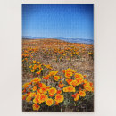 Buscar campo de la amapola puzzles Palomitas