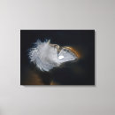 Buscar plumas lienzos Nativo