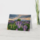 Buscar nueva zelanda tarjetas Flor