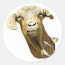 Buscar bobo manualidades Vida silvestre