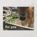 Buscar juveniles invitaciones Para niños